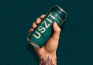 Blick nach oben in die Baumkronen