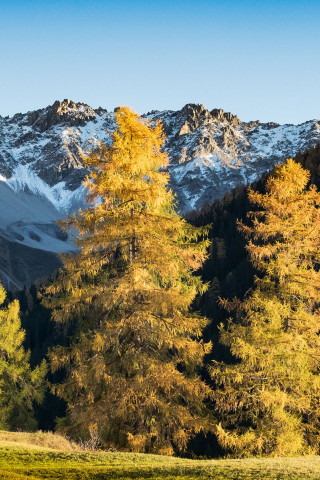 Herbst in den Schweizer Bergen, Herbstferien Schweiz