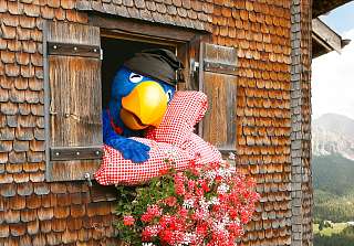 Wandern Lenzerheide August16 206 s